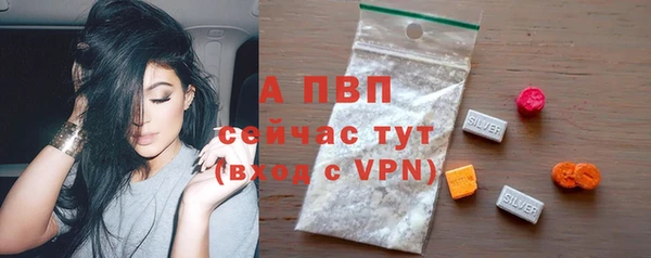 прущие грибы Тавда