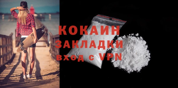 прущие грибы Тавда