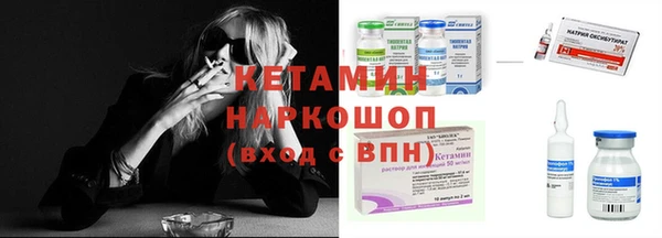 прущие грибы Тавда