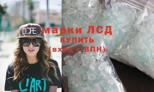 прущие грибы Тавда