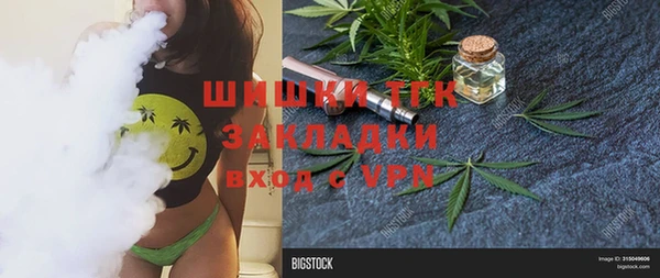 прущие грибы Тавда