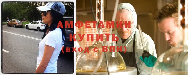 прущие грибы Тавда
