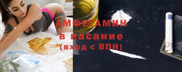 прущие грибы Тавда